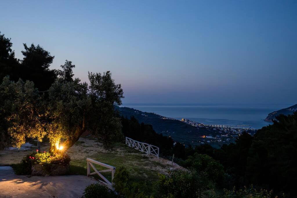 Villa Koukounaria سكوبيلوس تاون المظهر الخارجي الصورة