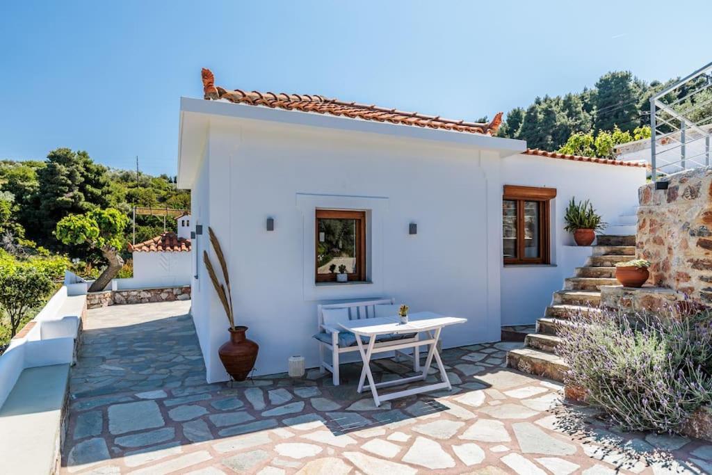 Villa Koukounaria سكوبيلوس تاون المظهر الخارجي الصورة