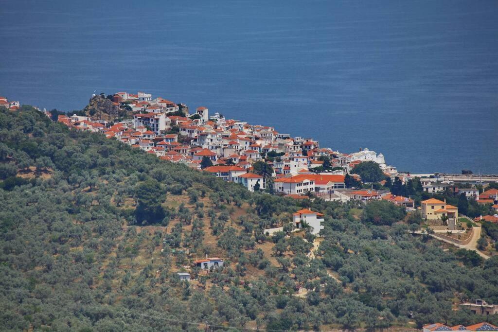 Villa Koukounaria سكوبيلوس تاون المظهر الخارجي الصورة
