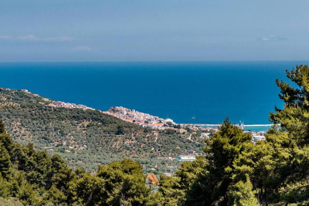 Villa Koukounaria سكوبيلوس تاون المظهر الخارجي الصورة