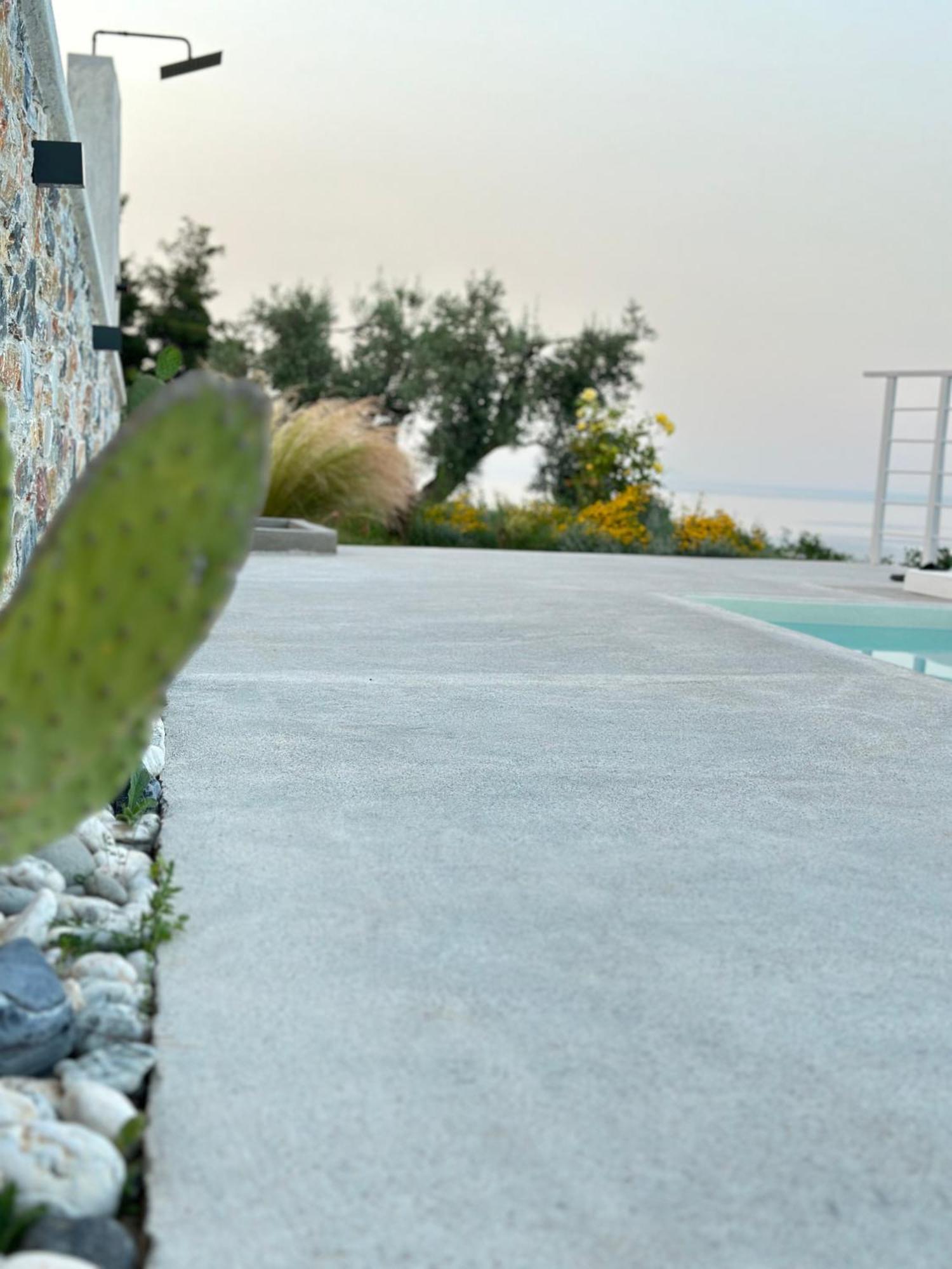 Villa Koukounaria سكوبيلوس تاون المظهر الخارجي الصورة
